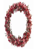 Khung hình dùng soạn bài giảng điện tử