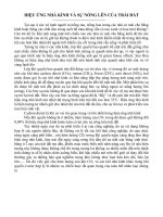 hiệu ứng nhà kính