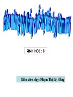 TRU NAO, TIEU NAO, NAO TRUNG GIAN