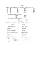 Đề thi Anh Khối 4 (02)