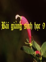 baigiang