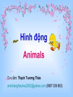 HÌNH ĐỘNG ĐV.ppt