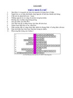 Giải đố: TRÒ CHƠI Ô CHỮ