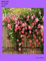 hiên tượng phản xạ toàn phần