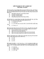 ĐỀ KIỂM TRA LỚP 11 NÂNG CAO