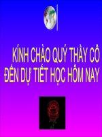 Bài 10: Kinh te LBNga( t3) Nang cao