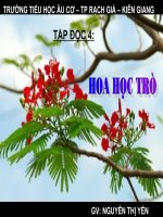 Tập đọc 4 - HOA HỌC TRÒ CỰC HOT
