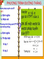 PTTQ của Đường Thẳng (HH10CB)