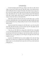 CÁC GIẢI PHÁP CƠ BẢN ĐỂ TIẾN HÀNH CNH-HĐH Ở NƯỚC TA HIỆN NAY