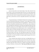 Thực trạng xuất khẩu quế của công ty cổ phần sản suất và xuất nhập khẩu lâm sản Naforimex Hà Nội