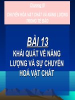 bài 13