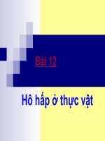 bai 12: Hô hấp ở thực vật