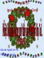 bai 81 câu đặc biệt