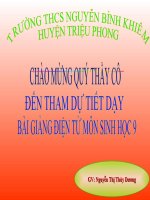 Tiết 52: Hệ Sinh Thái