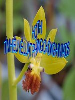 hội thi tim hiểu về phòng chống hiv/aids