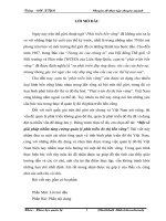 Một số giải pháp nhằm tăng cường quản lý phát triển đ« thị bền vững