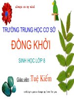 Sinh 8 - Tiết 17