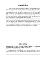 thực trạng và giải pháp phát triển kinh tế thị trường định hướng xã hội chủ nghĩa ở Việt Nam