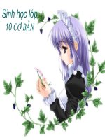 Bai 10 Te bao nhan thuc - S10