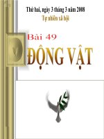 Động vật