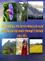 Các dân tộc miền núi