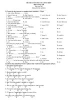 Dethivao10(tracnghiem)