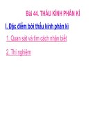 Bài 44. Thấu kính phân kì