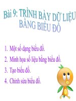 trinhbaydulieubangbieudo