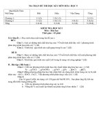 DE THI HỌC KI I MON HOA 9