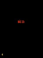 Tổng khởi nghĩa Tháng 8 năm 1945