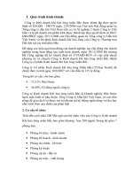 Phân tích hoạt động Công ty Kinh doanh Khí hóa lỏng miền Bắc 