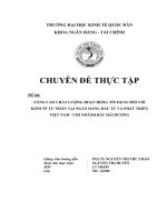 NÂNG CAO CHẤT LƯỢNG HOẠT ĐỘNG TÍN DỤNG ĐỐI VỚI KINH TẾ TƯ NHÂN TẠI NGÂN HÀNG ĐẦU TƯ VÀ PHÁT TRIỂN VIỆT NAM - CHI NHÁNH BẮC HẢI DƯƠNG