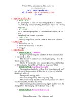 Khám phá về động vật rong rừng