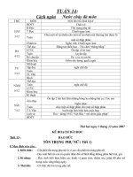 Giáo án l[ps 5 tuần 14