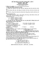 De thi va Dap an HSG mon Toan 5