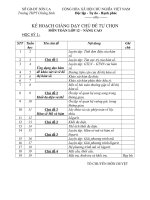 KHD chủ đề tự chon 12 NC Học kỳ 1.