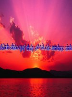 Nghị luận về 1 ý kiến bàn về văn học