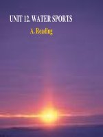 Unit 12 Reading T-Anh 12 (Chuan)