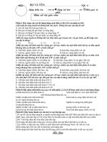 đề kiểm tra 45 phut (II)