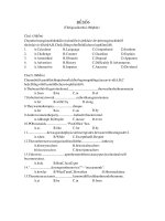 đề thi thử đại học môn anh văn - đề số 6