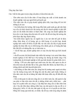 Tổng hợp thảo luận