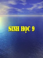 Tiet 52: Quan xa sinh vat