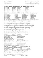 Đề thi 8 tuần học kỳ II năm học 2008-2009