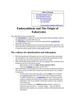 Công nghệ sinh học