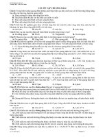 Câu hỏi trắc nghiệm Vật Lý_2