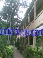 gia tri cua bieu thuc dai so