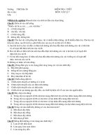 de thi hoc ki hay lop 7