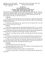 Kế hoạch triển khai 