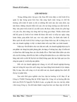 Giải pháp đẩy mạnh tiêu thụ sản phẩm thiết bị vệ sinh của Công ty TNHH Thương Mại & XNK Ngân Hà tại thị trường Hà Nội
