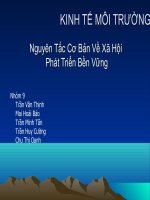 Xã hội phát triển bền vững